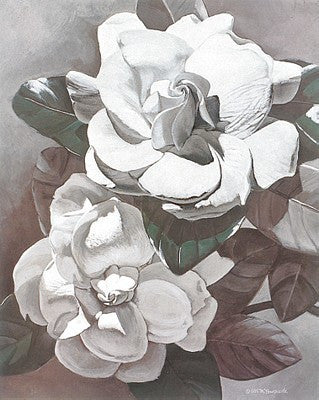 White Gardenias Floral by Marianne Hornbuckle - FairField Art Publishing