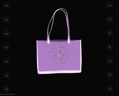 Purse in Lilac Posters by Anon - FairField Art Publishing